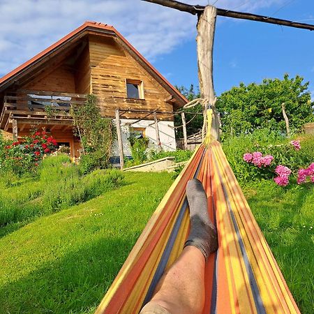 Bogojina Holiday Home Trnavsko מראה חיצוני תמונה