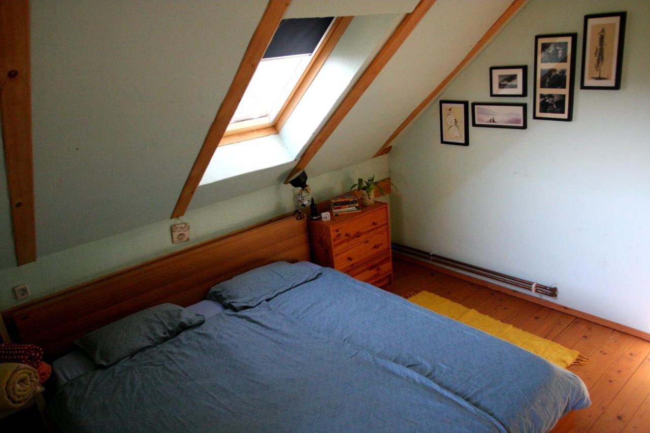 Bogojina Holiday Home Trnavsko מראה חיצוני תמונה