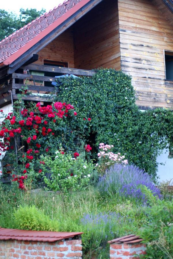 Bogojina Holiday Home Trnavsko מראה חיצוני תמונה