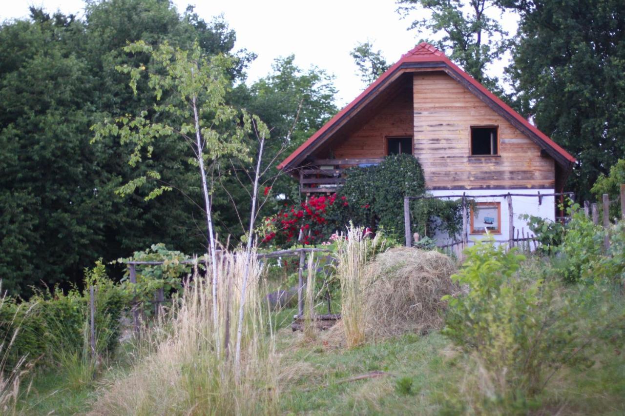 Bogojina Holiday Home Trnavsko מראה חיצוני תמונה