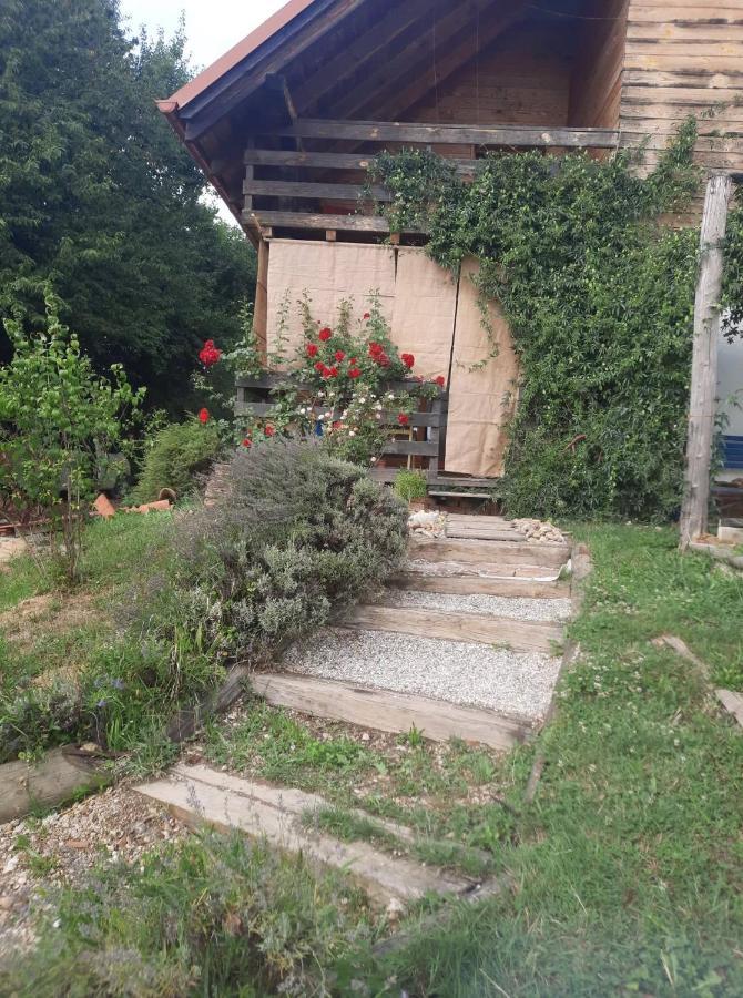 Bogojina Holiday Home Trnavsko מראה חיצוני תמונה