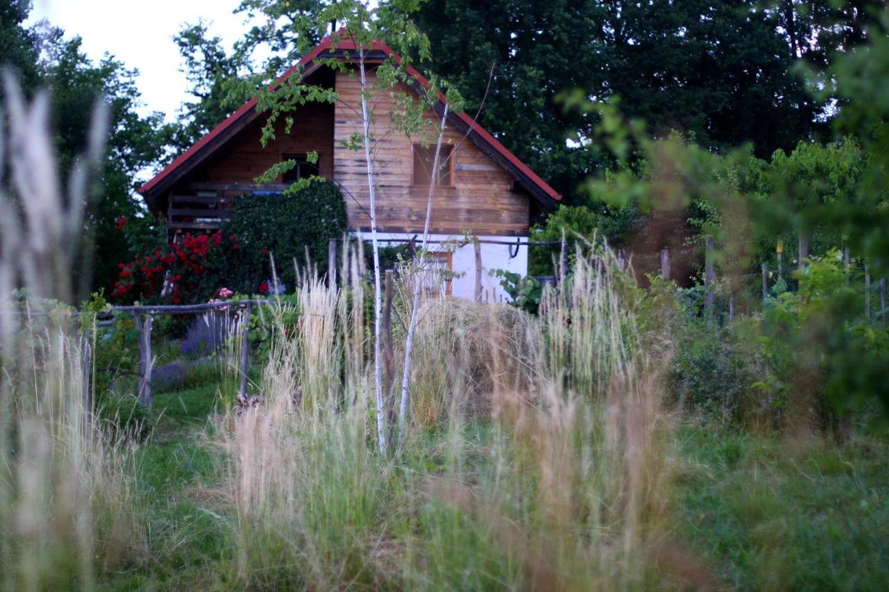 Bogojina Holiday Home Trnavsko מראה חיצוני תמונה